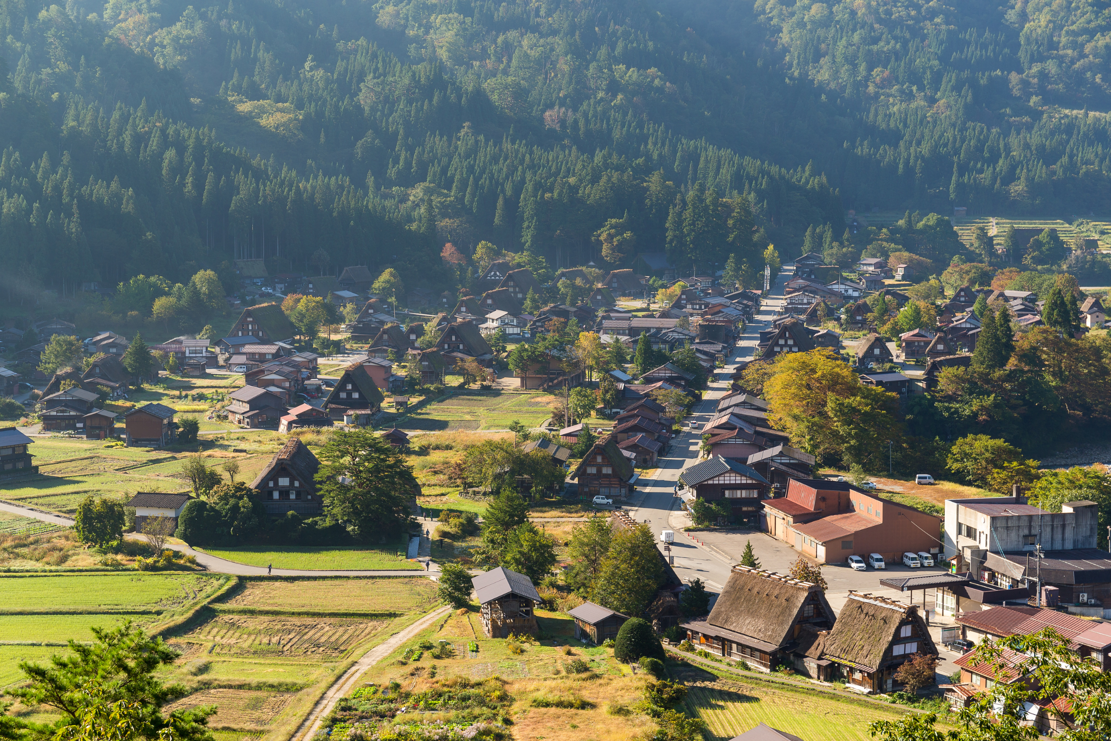 japan-cherry-blossom-tour-shirakawago---tokyo---mt-fuji---matsumoto---nagoya